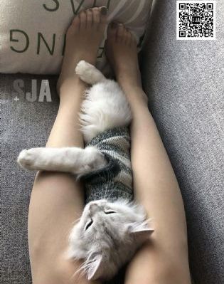 久久天天躁夜夜躁狠狠躁2020_HD免费高清观看