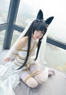 成人AV片在线观看免费播_DVD日韩免费观看